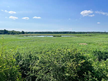 24-06-29 10-16-39 0004